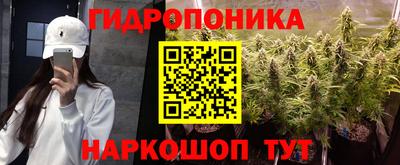 сатива Кудымкар